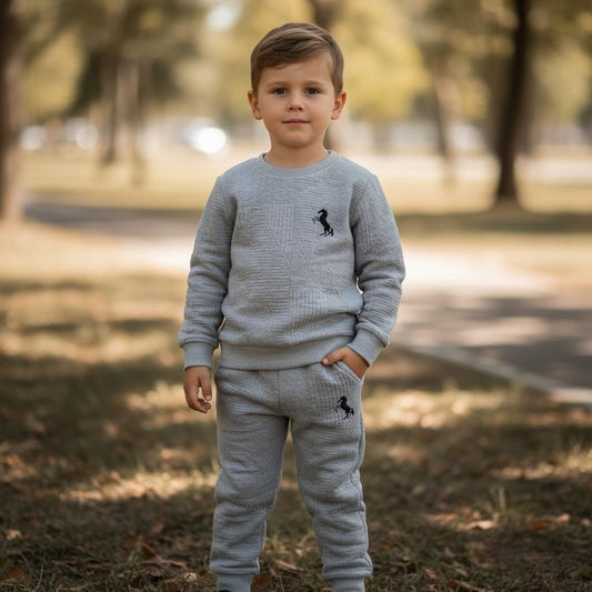 Toddler Baby Boy Grey Outfit Set – Soft Long Sleeve Sweatshirt & Pants 2Pcs for Everyday Fall/Winter Wear
